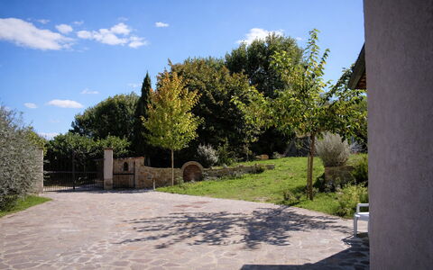 Villa Montepulciano Vineyard: Arbusto, Jardín, Losa, Sombra, Entrada De Coches, Paisajismo, Pasarela, Patio Interior, Yarda