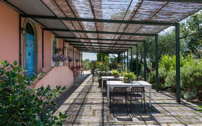 Alojamiento:&nbsp;Vite