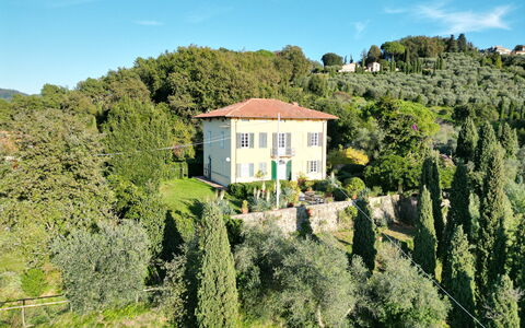 Villa Il Torrazzo, Vista Mare, Massarosa: Hoja, Vegetación, Arbusto, Paisaje, Área Rural, El Terreno Del Lote, Planta De La Comunidad, Cobertura Del Suelo, Inmuebles, Primavera