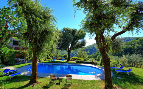 Villa Ulivacci: Azul, Piscina, Jardín, Sombra, Mueble Para Exteriores, Hacienda, Eco Hotel, Paisajismo, Patio Interior, Césped