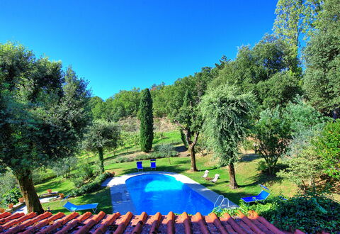 Villa Ulivacci: Azul, Jardín, Piscina, Césped, Sombra, Patio Interior, Paisajismo, Parque, Yarda, Mueble Para Exteriores