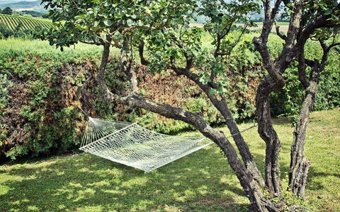 Villa Selvamica: El Maletero, Jardín, Plantas Leñosas, Césped, Sombra, Patio Interior, Plantación
