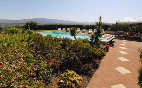 Villa Michelangelo: Jardín, Piscina, Hacienda, Eco Hotel, Paisajismo, Recurso, Yarda, Plantación, Casa De Campo, Villa