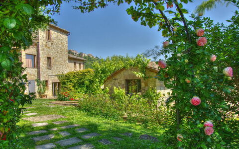 Villa Incanto: Flor, Arbusto, Jardín, Pétalo, Primavera, Paisajismo, Planta Herbácea, Patio Interior, Yarda, Familia De Las Rosáceas
