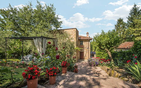Villa Panorama: Arbusto, Jardín, Primavera, Maceta, Patio Interior, Paisajismo, Yarda, Ladrillo, Planta De Casa