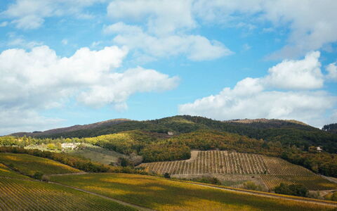 Villa Torre del Chianti: Accidentes Geográficos Montañosas, Colina, Paisaje Natural, Montaña, Tierras Altas, Paisaje, Pradera, Ecorregión, Área Rural, Campo