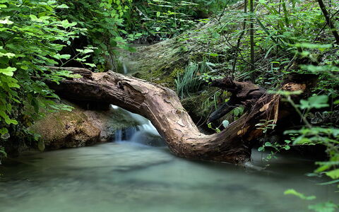 Borgo di San Biagio: Los Recursos Hídricos, Agua, Cuerpo De Agua, Naturaleza, Corriente De Agua, Verde, Entorno Natural, Corriente, Vegetación, Rama