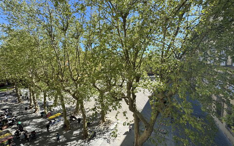 Casa Anna 13: Rama, Hoja, Árbol, Ramita, El Maletero, Primavera, Plantas Leñosas, Sombra