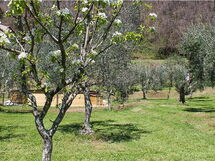 Il Casale di San Jacopo con Piscina Privata