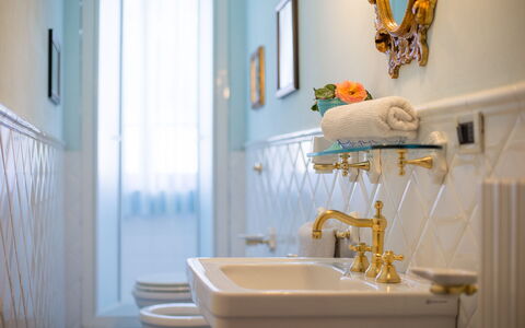 Villa Camelia: Pared, Diseño De Interiores, Encendiendo, Grifo, Lavabo Del Baño, Arreglo De Tubería, Lámpara, Baño, Plomería, Lavabo