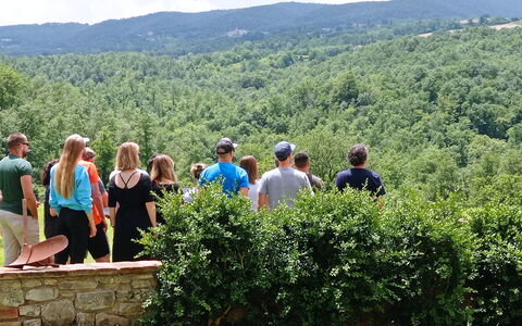 Villa Campo al Vento - Country Farm: Entorno Natural, Naturaleza, Hoja, Verano, Recreación, Colina, Paisaje, Ocio, Planta De La Comunidad, Primavera