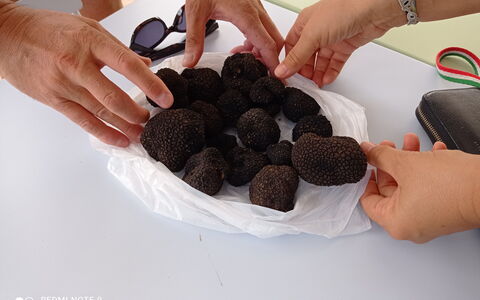 Villa Campo al Vento - Country Farm: Ingrediente, Comida, Hongo