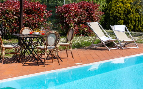 Il Leccio, Vinci, Private Pool and Tennis: Piscina, Mueble Para Exteriores, Recurso, Mueble, Eco Hotel, Sombra, Silla, Sunlounger, Maceta, Planta De Casa