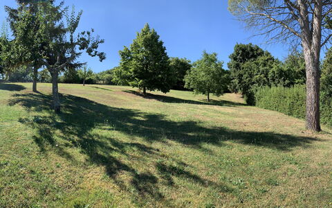 Casa Chimera: Árbol, Hierba, Entorno Natural, Rama, Pradera, Llanura, El Terreno Del Lote, Pasto, El Maletero