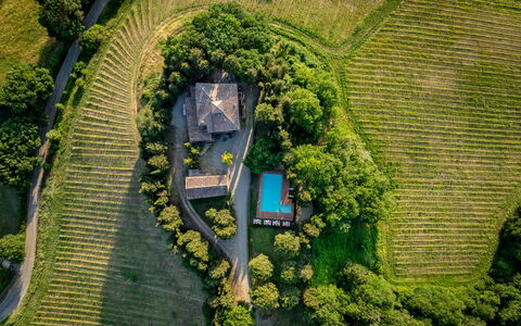 Maison Badia a Passignano: Plantación, Eco Hotel, Jardín, Inmuebles, Agricultura, Paisajismo, Vista Panorámica, Patio Interior, Villa