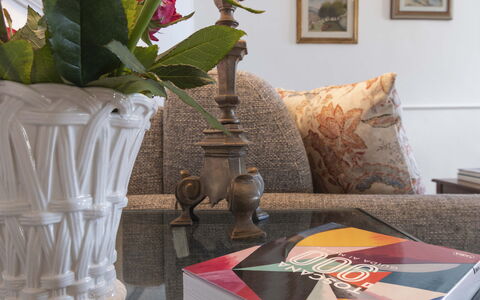 Maison D'Alice: Mueble, Diseño De Interiores, Encendiendo, Marco, Sala, Amortiguar, Habitación, Florero, Arrojar La Almohada, Almohada
