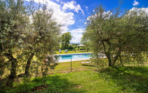 Gli Ulivi: Césped, Jardín, Prado, Sombra, Parque, Paisajismo