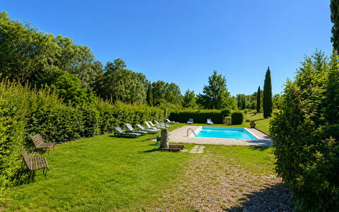 Civico108 Vacation Home, Pool, Castellina in Chian: Arbusto, Piscina, Jardín, Césped, Cobertura Del Suelo, Paisajismo, Cobertura, Mueble Para Exteriores, Sombra, Inmuebles