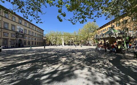 Alla Torre: Árbol, Superficie De La Carretera, Espacio Publico, Ciudad, Calle, Plaza De La Ciudad, Asentamientos Humanos, Sombra, Plaza