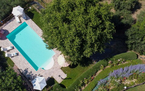 Casa dei Nonni: Piscina, Jardín, Ocio, Recurso, Césped, Inmuebles, Patio Interior, Paisajismo, Sombra, Yarda