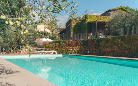 House in the Woods, Pool and Relax in Umbria: Piscina, Recurso, Eco Hotel, Hacienda, Inmuebles, Villa, Sombra, Jardín, Patio Interior, Paisajismo