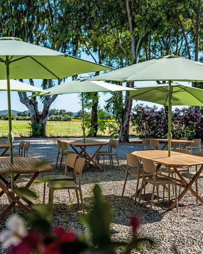 Grosseto 830: Mueble, Paraguas, Mueble Para Exteriores, Mesa Al Aire Libre, Mesa, Sombra, Silla, Jardín, Cocina Y Comedor Mesa, Césped