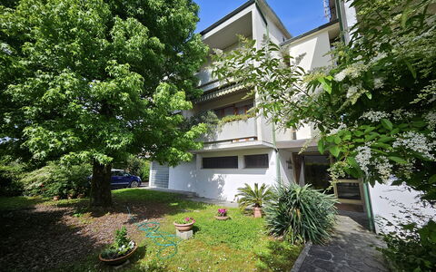 Alle Gardenie: Arbusto, Barrio Residencial, Casa, Jardín, Inmuebles, Yarda, Sombra, Paisajismo, Entrada De Coches, Patio Interior