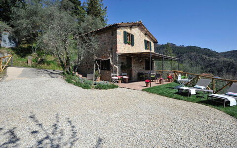 Oliveta: Área Rural, Cabaña, Pueblo, Casa De Campo, Pueblo De Montaña, Entrada De Coches, Villa, Patio Interior