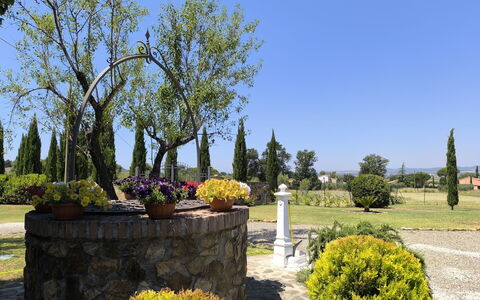 Scarlino 35: Cielo, Árbol, Arbusto, Paisaje, Jardín, Primavera, Plantas Leñosas, Paisajismo, Parque