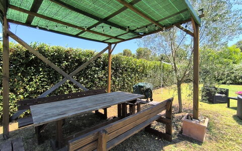 Scarlino 35: Madera, Sombra, Estructura Al Aire Libre, Mesa Al Aire Libre, Banco Al Aire Libre, Pabellón, Jardín, Mueble Para Exteriores, Manchas De Madera, Kiosko