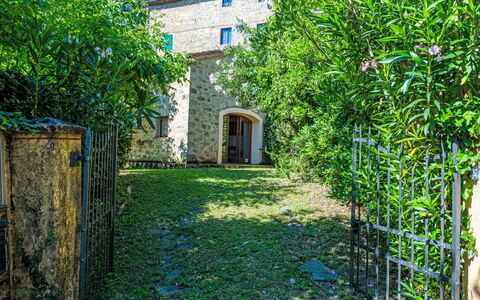 Fibbialla: Arbusto, Jardín, Patio Interior, Yarda