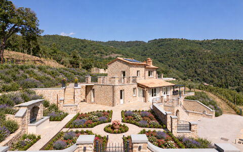 Villa Maddalena alla Guglielmesca: Arbusto, Inmuebles, Jardín, Paisajismo, Cabaña, Casa De Campo, Villa, Mansión, Pueblo, Hacienda