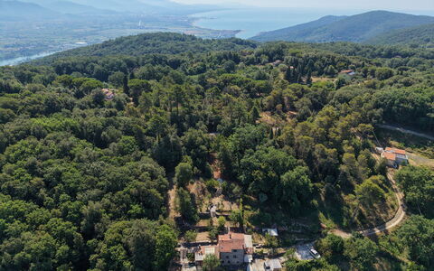La Rustica: Entorno Natural, Vegetación, Paisaje, Planta De La Comunidad, Bosque, Hill Station, Vista Panorámica, Selva, Fotografía Aérea, Pueblo
