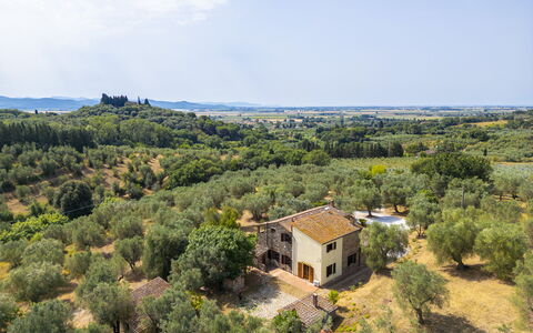 Casale delle Lupe, Campiglia Marittima: Árbol, Hierba, Paisaje Natural, Paisaje, Área Rural, Pradera, El Terreno Del Lote, Llanura, Planta De La Comunidad
