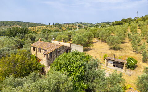 Casale delle Lupe, Campiglia Marittima: Hierba, Árbol, Arbusto, Área Rural, Planta De La Comunidad, El Terreno Del Lote, Inmuebles, Cabaña, Pueblo