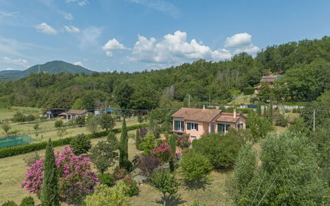 Gli Oleandri di Grazia: Árbol, Vegetación, Paisaje, Arbusto, Área Rural, Barrio Residencial, El Terreno Del Lote, Planta De La Comunidad, Asentamientos Humanos