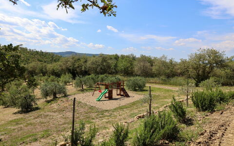 La Calcinaia Country Villa, Bucine: Árbol, Vegetación, Paisaje, Planta De La Comunidad, Área Rural, El Terreno Del Lote, Llanura, Suelo, Shrubland, Pasto