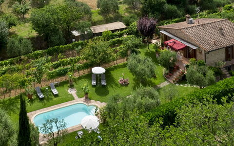 Villa Sorripa 6: Arbusto, Jardín, Cabaña, Patio Interior, Inmuebles, Paisajismo, Casa De Campo, Plantación, Yarda, Césped