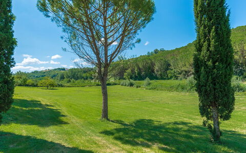 La Casa Dell'Artista 6: Verde, Hoja, Hierba, Entorno Natural, Naturaleza, Vegetación, Paisaje Natural, Pradera, Arbusto, Paisaje