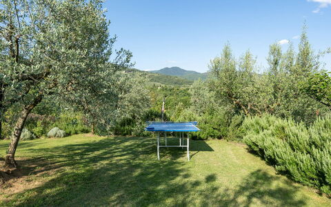 Buca delle Fate 8: Árbol, Hill Station, Prado, Pasto, Hojas Perennes, Cresta, Plantación, Familia De Pino