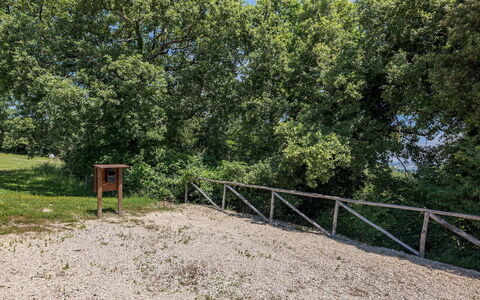 Il Colle di Donna Ilaria 12: Árbol, Hoja, Rama, Plantas Leñosas, Sendero, Bosque, Suelo, Parque, Cerca, Camino