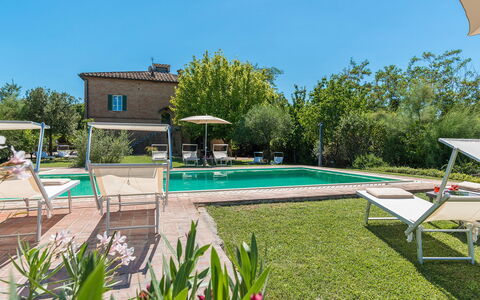 Finestra su Siena 16: Piscina, Mueble Para Exteriores, Jardín, Recurso, Patio Interior, Inmuebles, Sunlounger, Paisajismo, Yarda, Silla
