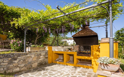 Le Querce dei Medici 12+2: Jardín, Sombra, Maceta, Hacienda, Patio Interior, Paisajismo, Yarda, Estructura Al Aire Libre, Eco Hotel, Planta De Casa