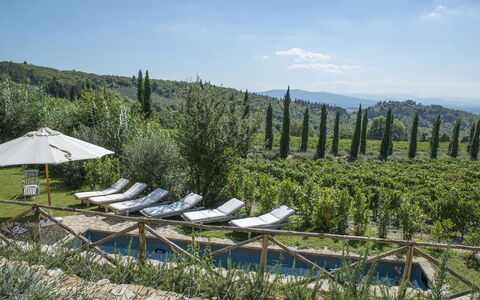 Villa delle Upupe 8: Paisaje, Plantación, Hill Station, Paisajismo, Agricultura, Hojas Perennes, Chaparral