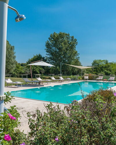 Alborata 10: Piscina, Recurso, Jardín, Paisajismo, Sombra, Eco Hotel, Mueble Para Exteriores, Inmuebles, Parque, Plantación