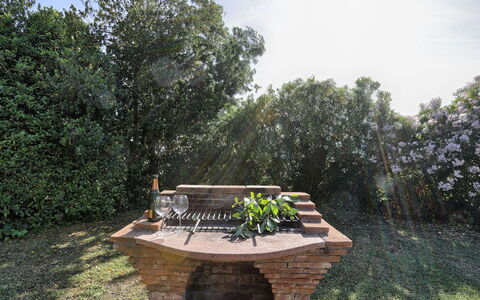 Virginia 8: Madera, Arbusto, Jardín, Mueble Para Exteriores, El Maletero, Paisajismo, Banco Al Aire Libre, Mesa Al Aire Libre, Patio Interior, Parque