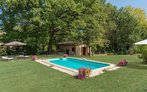 Mulino della Quercia 2+1: Piscina, Jardín, Patio Interior, Césped, Casa De Campo, Inmuebles, Yarda, Sombra, Hacienda, Paisajismo