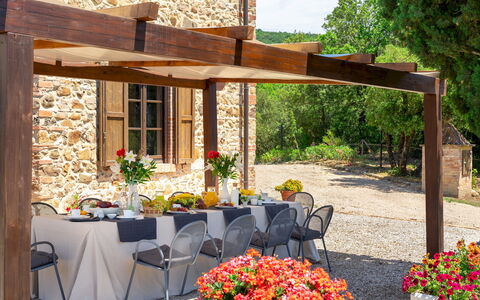 Terripi 10: Sombra, Mueble, Jardín, Maceta, Estructura Al Aire Libre, Mesa Al Aire Libre, Patio, Mueble Para Exteriores, Pérgola, Toldo