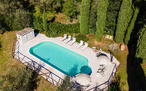 Torre Angelina 10+2: Piscina, Azul, Mueble Para Exteriores, Thermae, Recurso, Ocio, Inmuebles, Sombra, Villa, Paisajismo