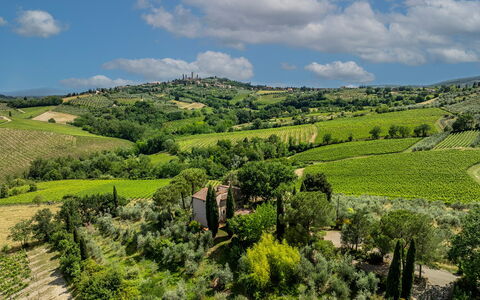 Villa Caterina 8: Paisaje Natural, Paisaje, Área Rural, Llanura, Pradera, Plantación, El Terreno Del Lote, Campo, Agricultura, Hill Station